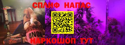 ешки Дубна