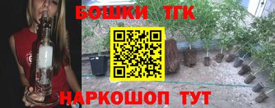 ешки Дубна