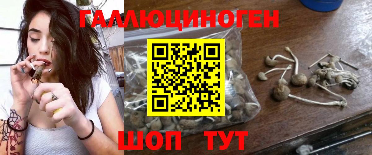 Псилоцибиновые грибы GOLDEN TEACHER  Галлюциногенные грибы прущие грибы  наркошоп  Вход с VPN  Кумертау 